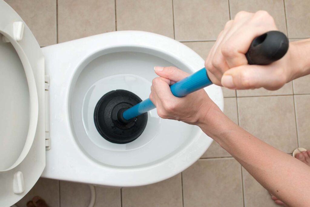 Toilet Repair » Total Repair